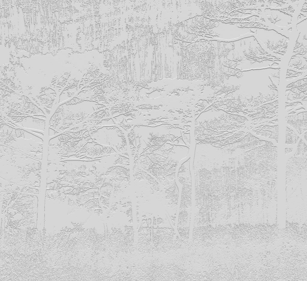 DP-0001